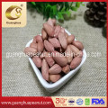 Best Quality Peanut Kernels with Skin